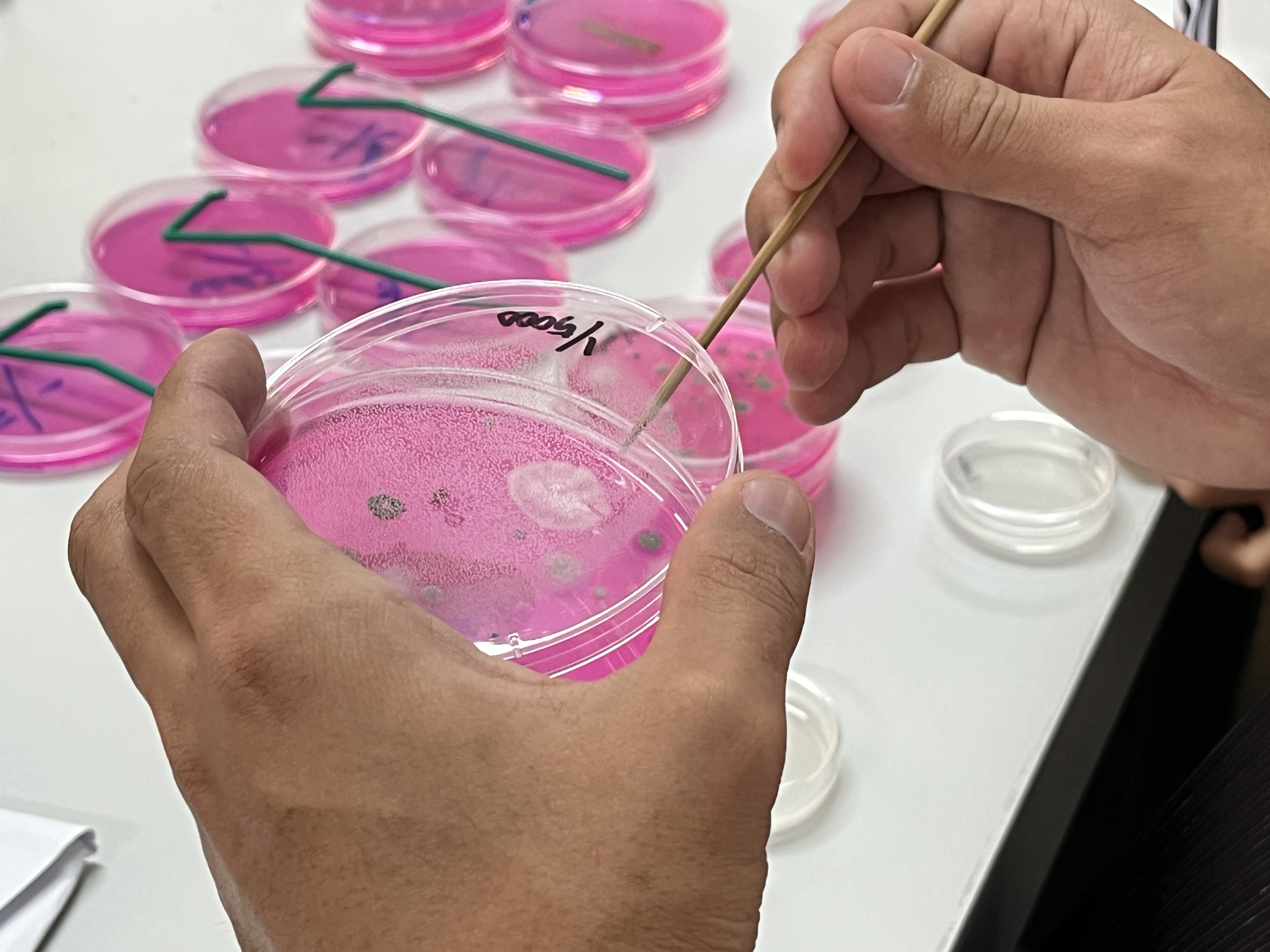 Fungal Bio-Bank